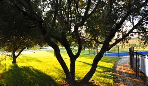 Tenuta Santa Lucia Hotel ซานโจวานนี โรตอนโด ภายนอก รูปภาพ